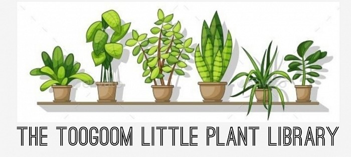 The Toogoom Little Plant Library